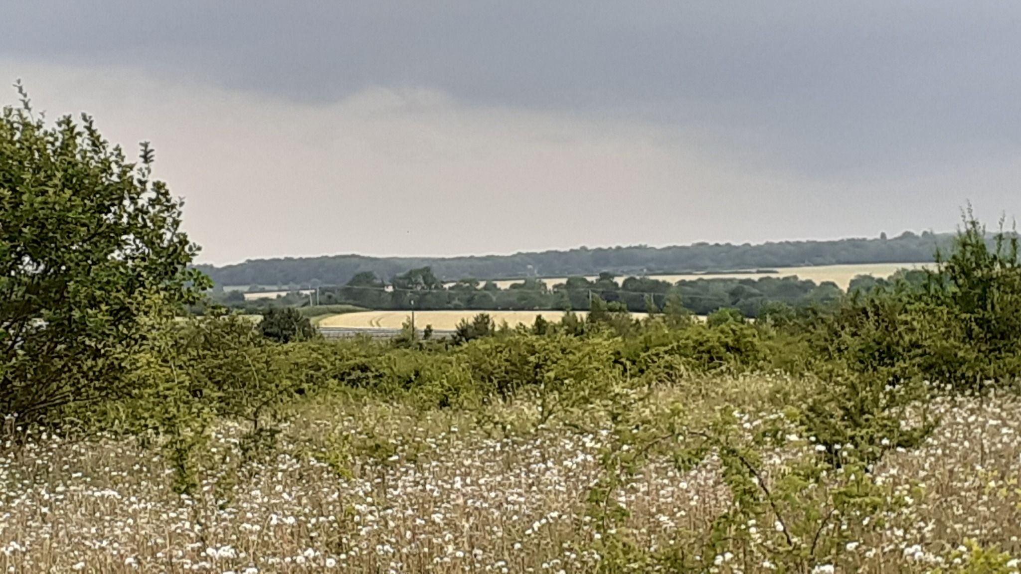 view over a hill
